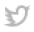 social icon